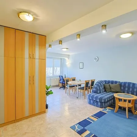 Sunny & Convenient On Dondoukov Blvd, 1 Bdr Zaimov 公寓 索菲亞